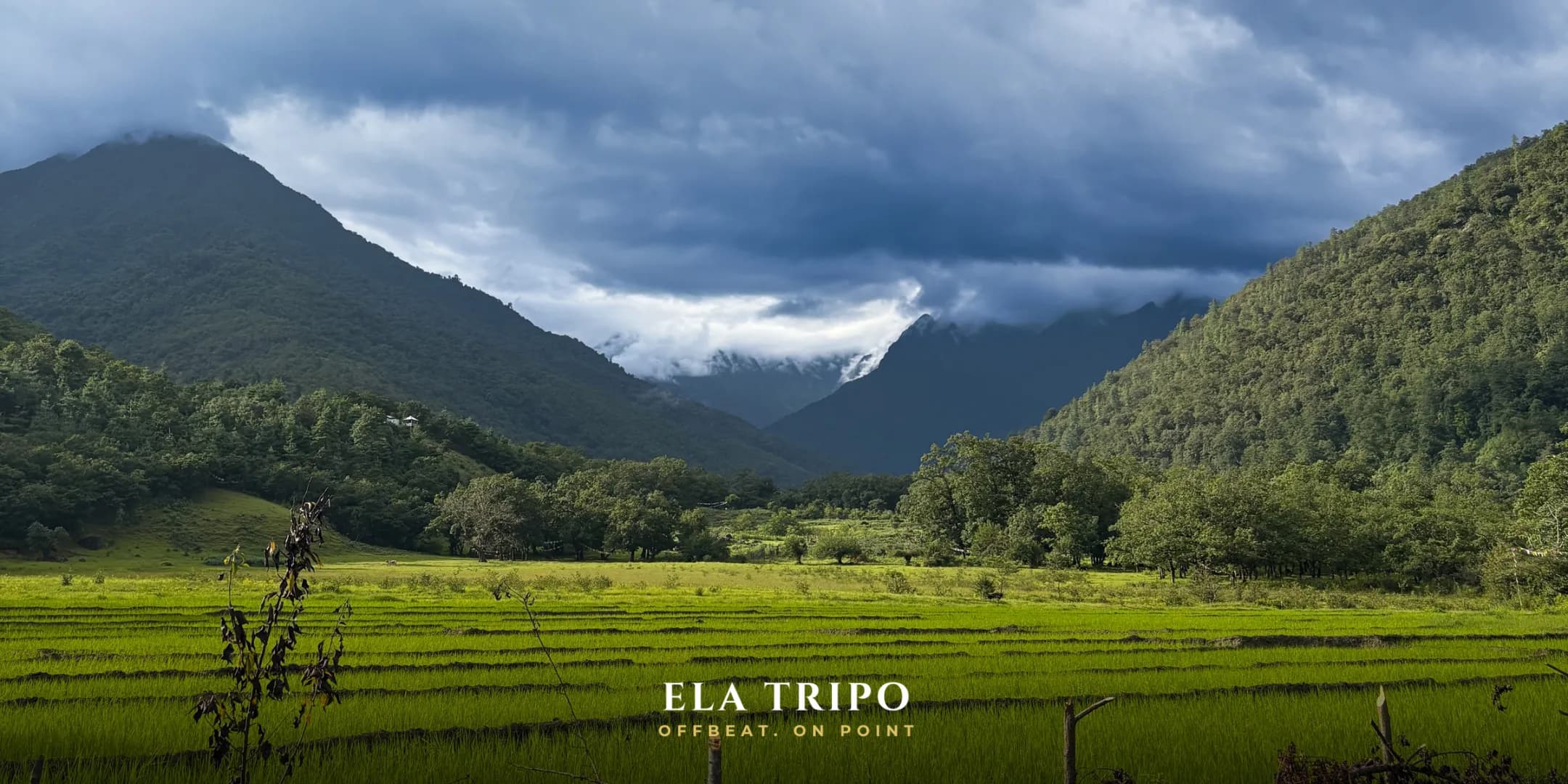 North-East India Landscape